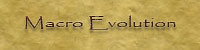 Macro Evolution