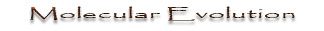 Molecular Evolution